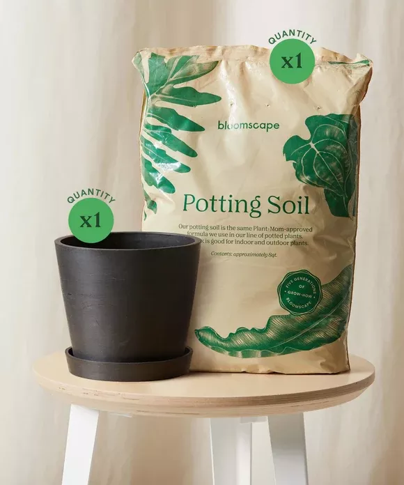 Repotting Kit (8” Pot)
