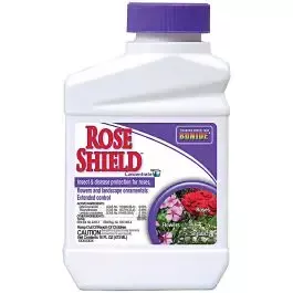 Rose Shield Concentrate