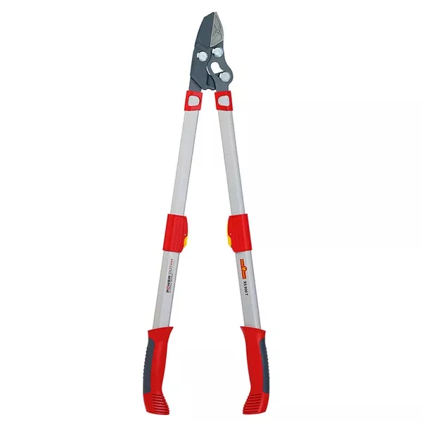 RS900T Power Cut Telescoping Anvil Lopper