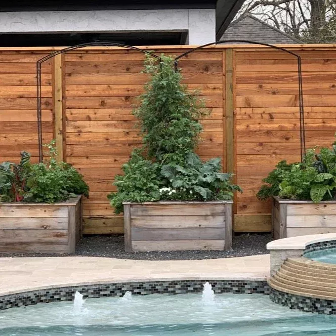 Sandra Kitchen Garden Bundle