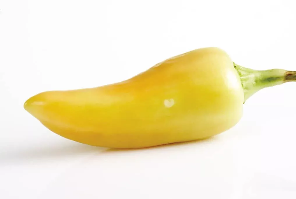 Santa Fe Grande Pepper