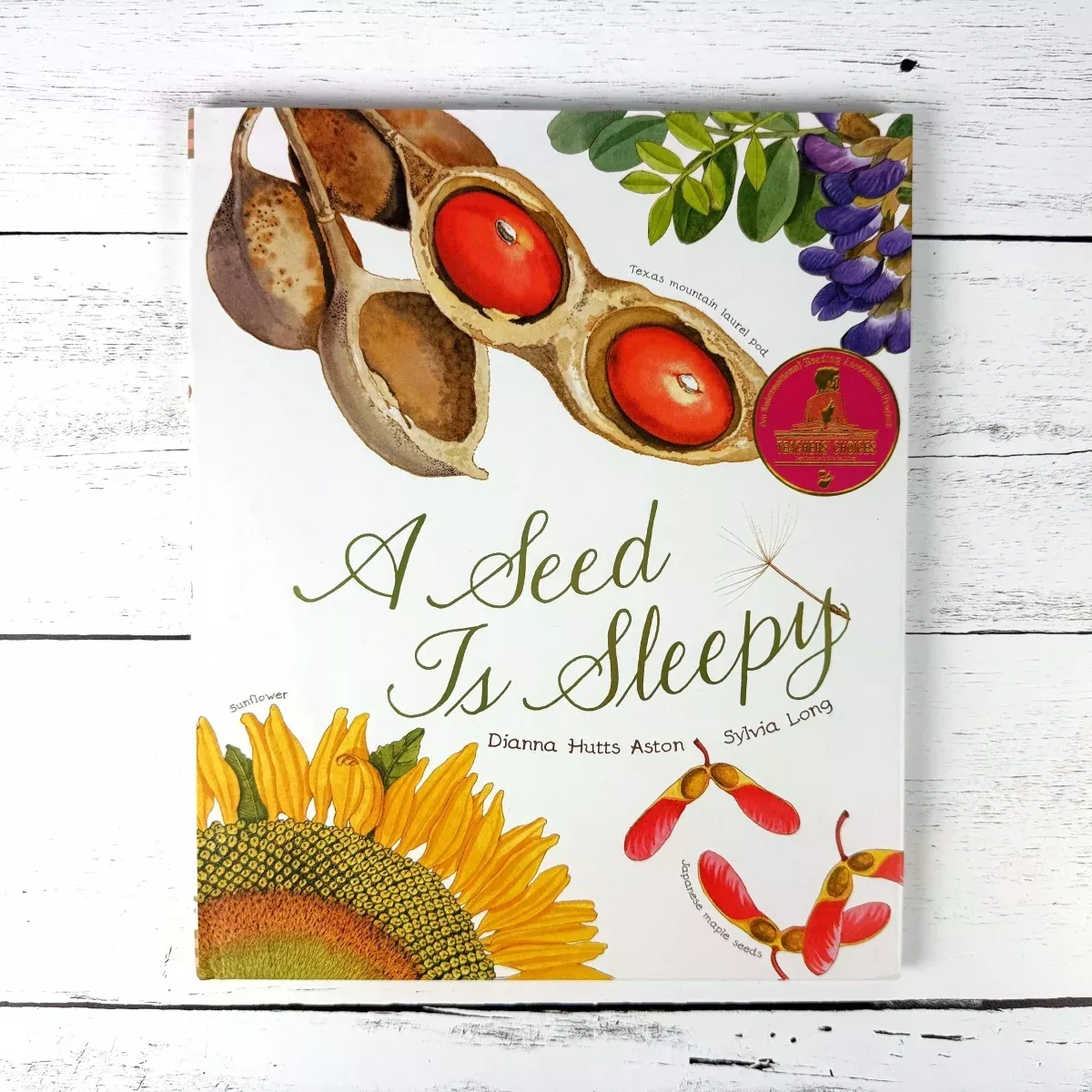 A Seed is Sleepy