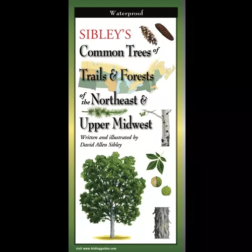 Sibley’s Common Trees of Trails & Forests of the Northeast & Upper Midwest, Folding Guide
