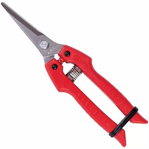 Small Hand Shears with 7in 1.875" Blade