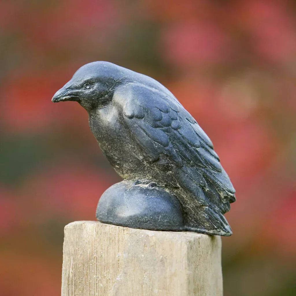 Small Raven