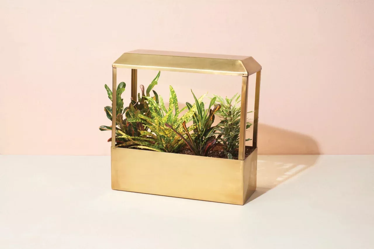 Smart Growhouse - Brass