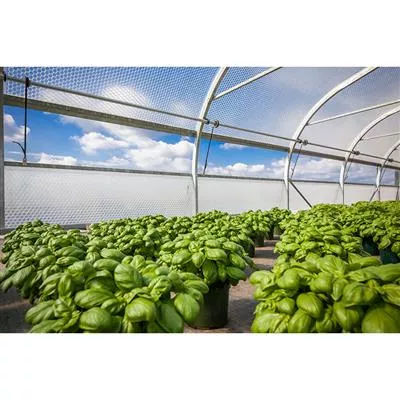 SolaWrap Greenhouse Covering Bulk Roll