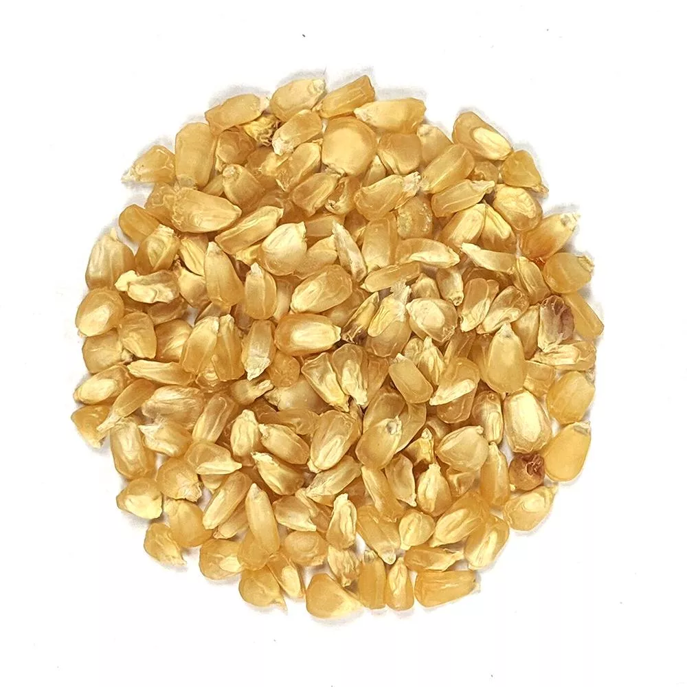 Sweet Corn Seeds - Country Gentleman