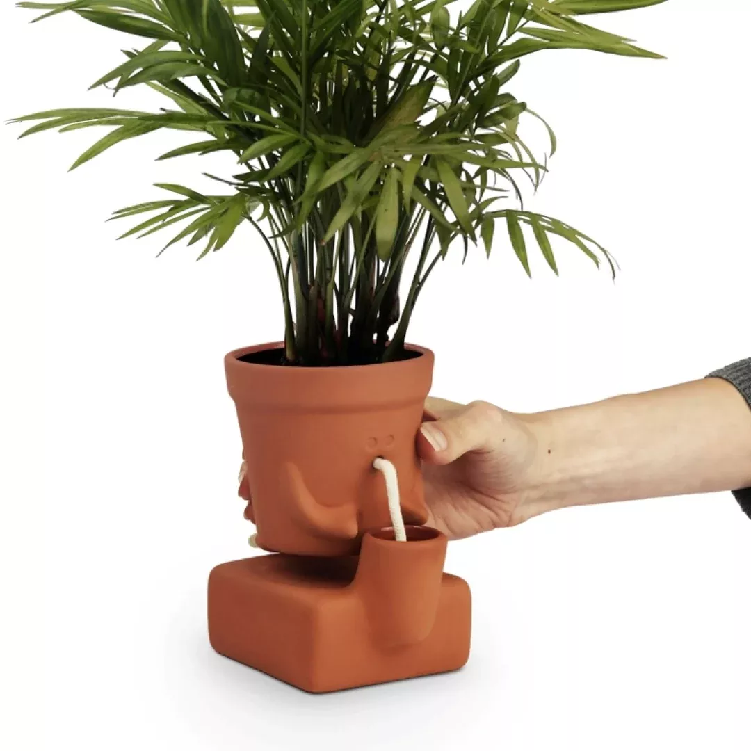 The Thirsty Planter