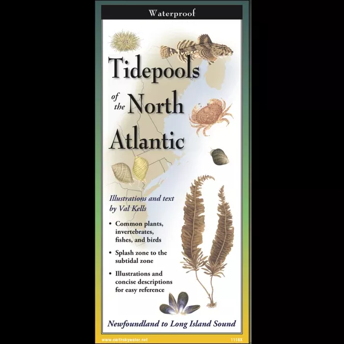 Tidepools of the North Atlantic, Folding Guide