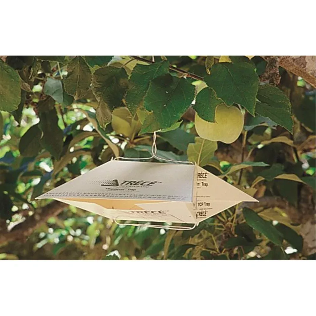 Trece Beet Armyworm Trap Kit