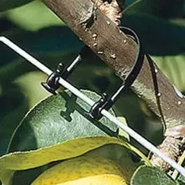 Trellis Tie, 100mm