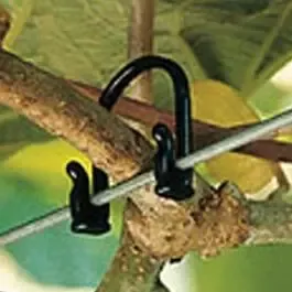Vine Tie, 70mm