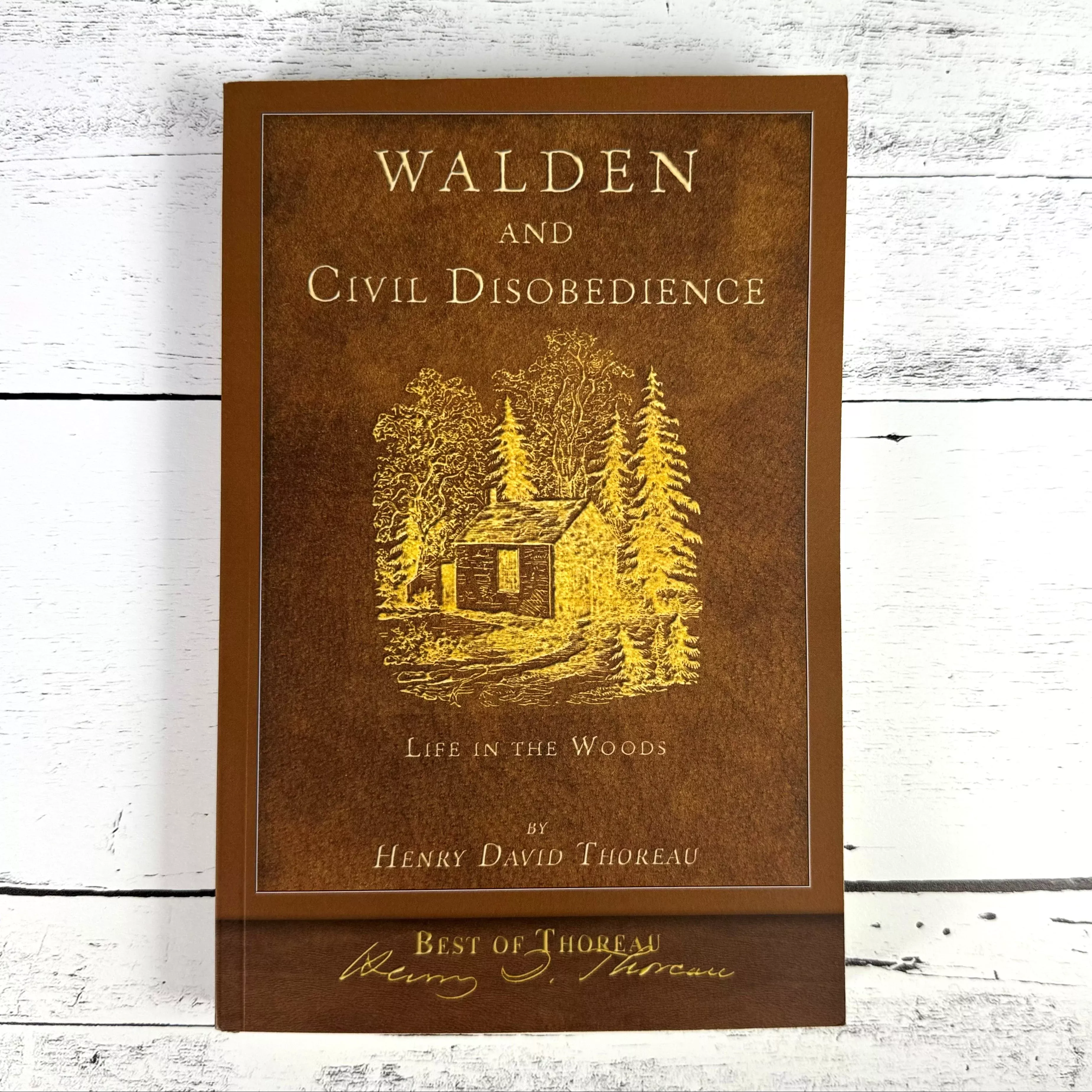 Walden & Civil Disobedience