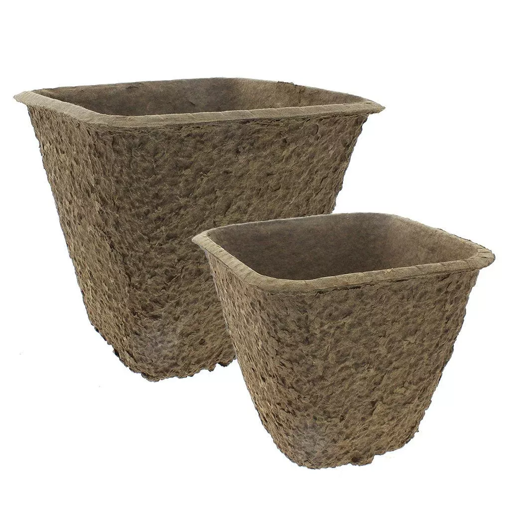 Western Pulp Square Pots