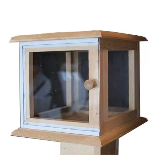 Wooden Butterfly Vivarium Display
