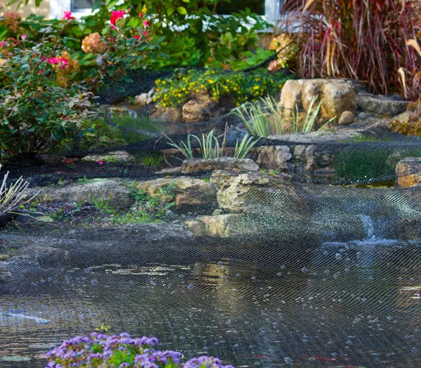 Your Comprehensive Guide to Pond Protection