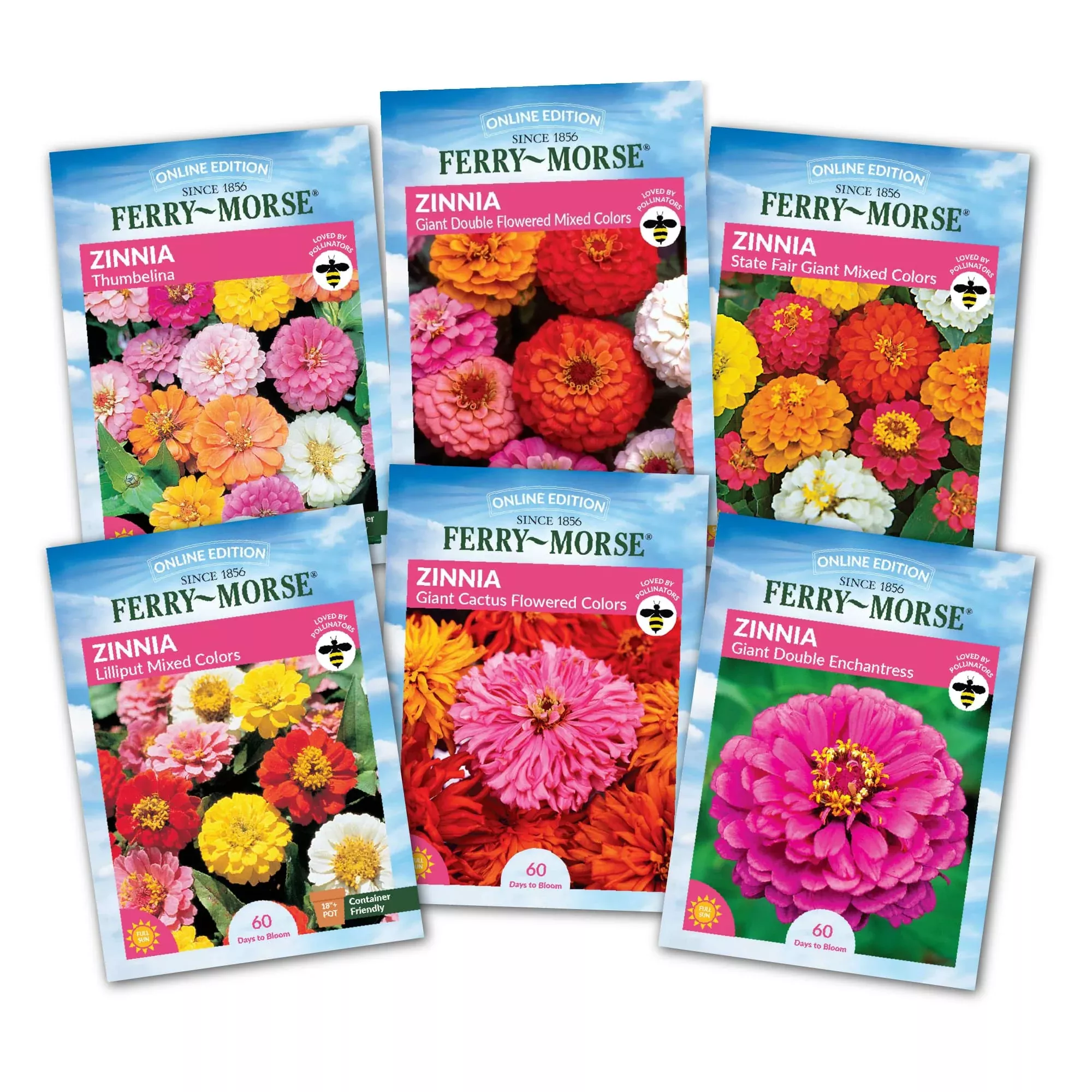 Zinnia Flowers Top Sellers Seed Variety Pack - 6 Pack